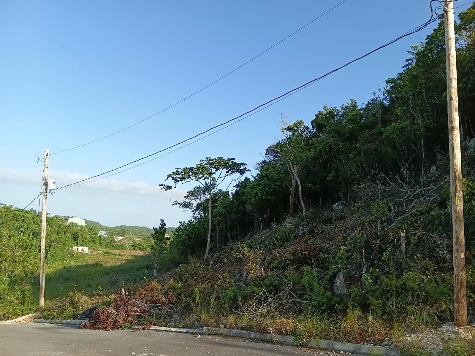 First image of Lot 11 Masons Run Hatfiel in Hatfield, Manchester, Jamaica - property is For Sale