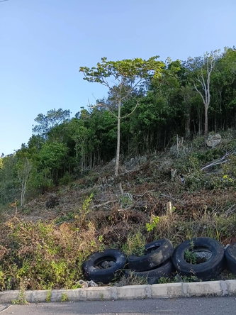 Second image of Lot 11 Masons Run Hatfiel in Hatfield, Manchester, Jamaica - property is For Sale
