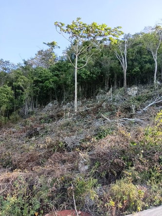 Third image of Lot 11 Masons Run Hatfiel in Hatfield, Manchester, Jamaica - property is For Sale
