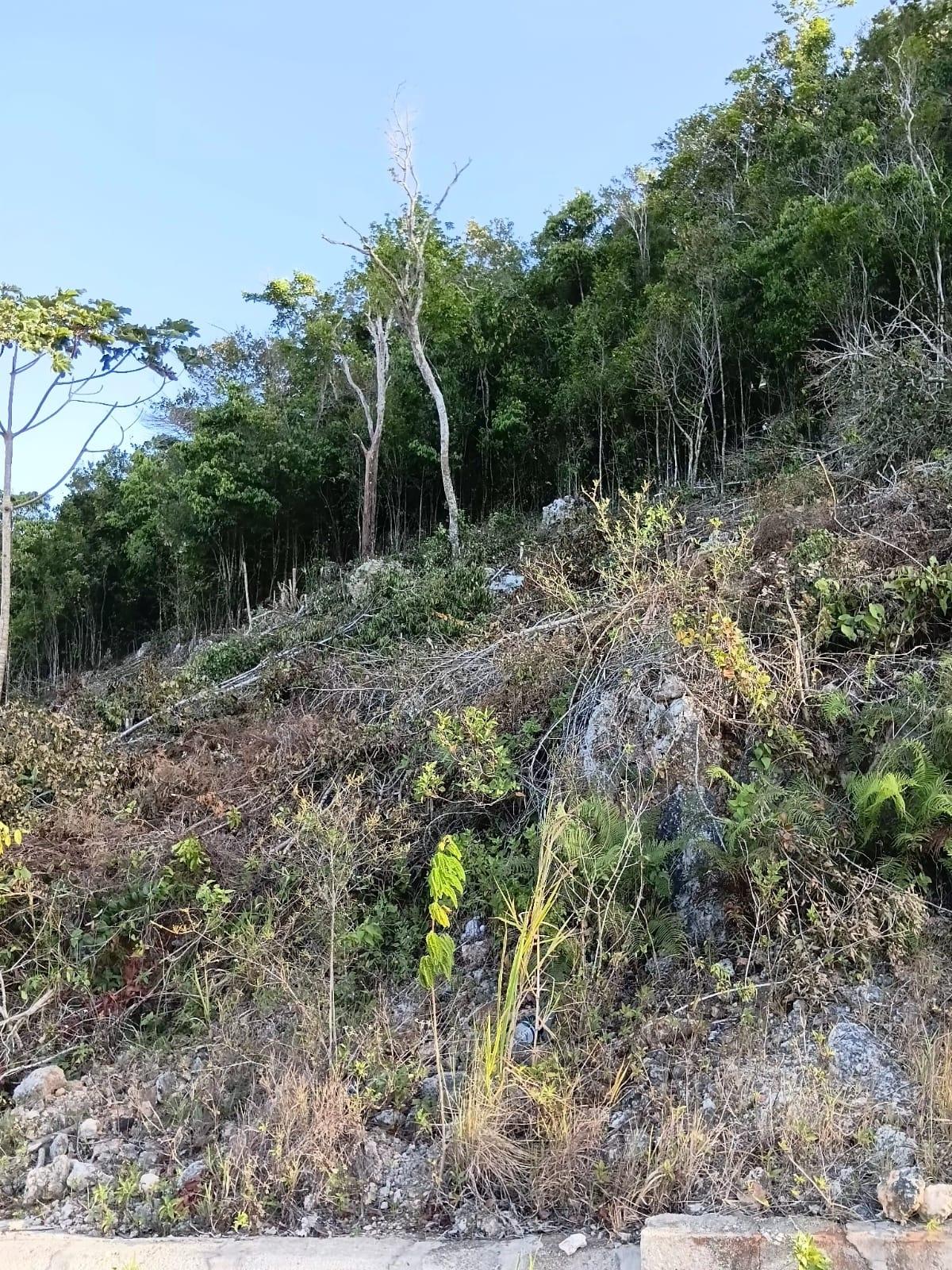 Fourth image of Lot 11 Masons Run Hatfiel in Hatfield, Manchester, Jamaica - property is For Sale