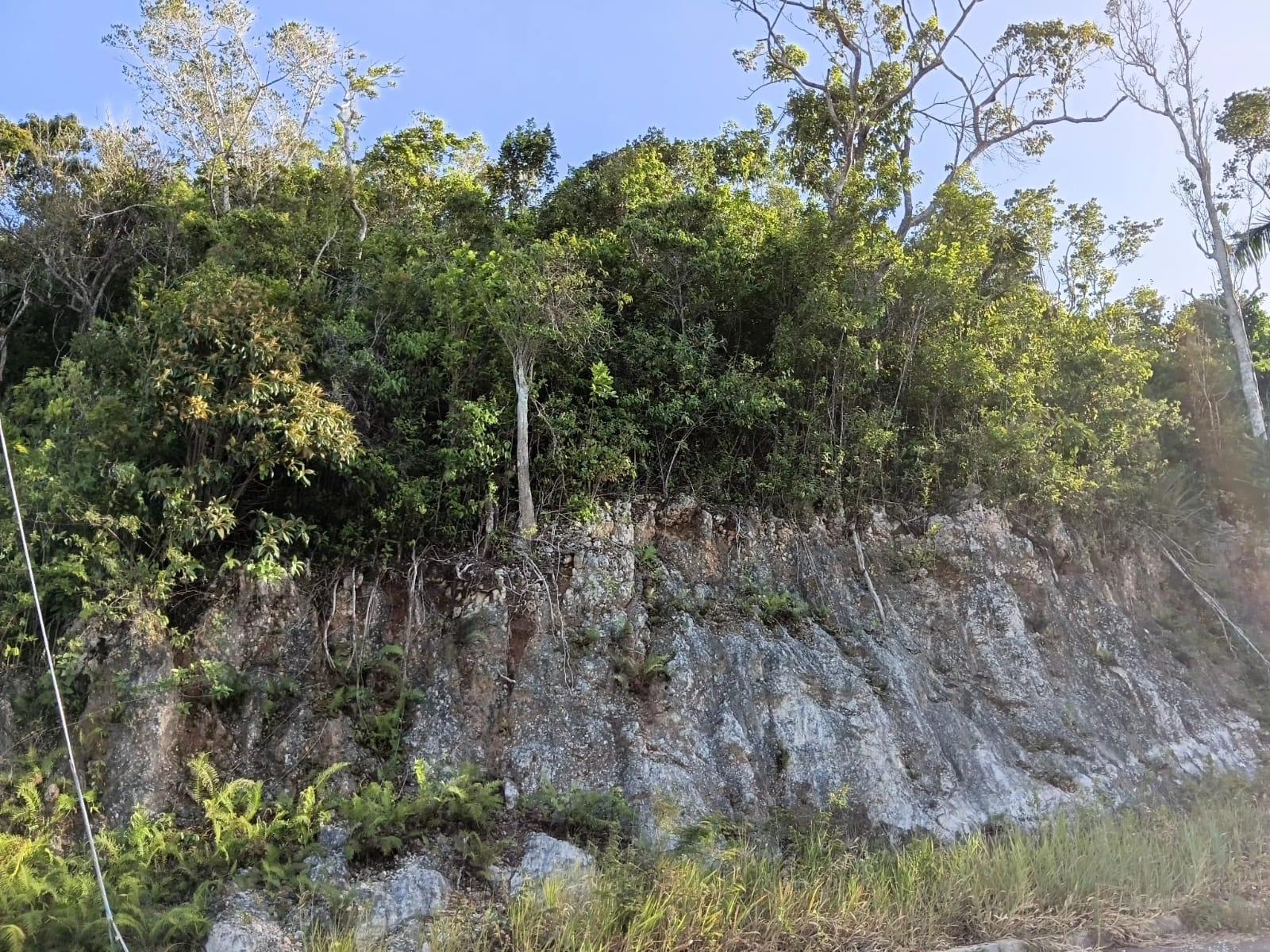 Second image of Lot 12 Masons Run Hatfiel in Hatfield, Manchester, Jamaica - property is For Sale