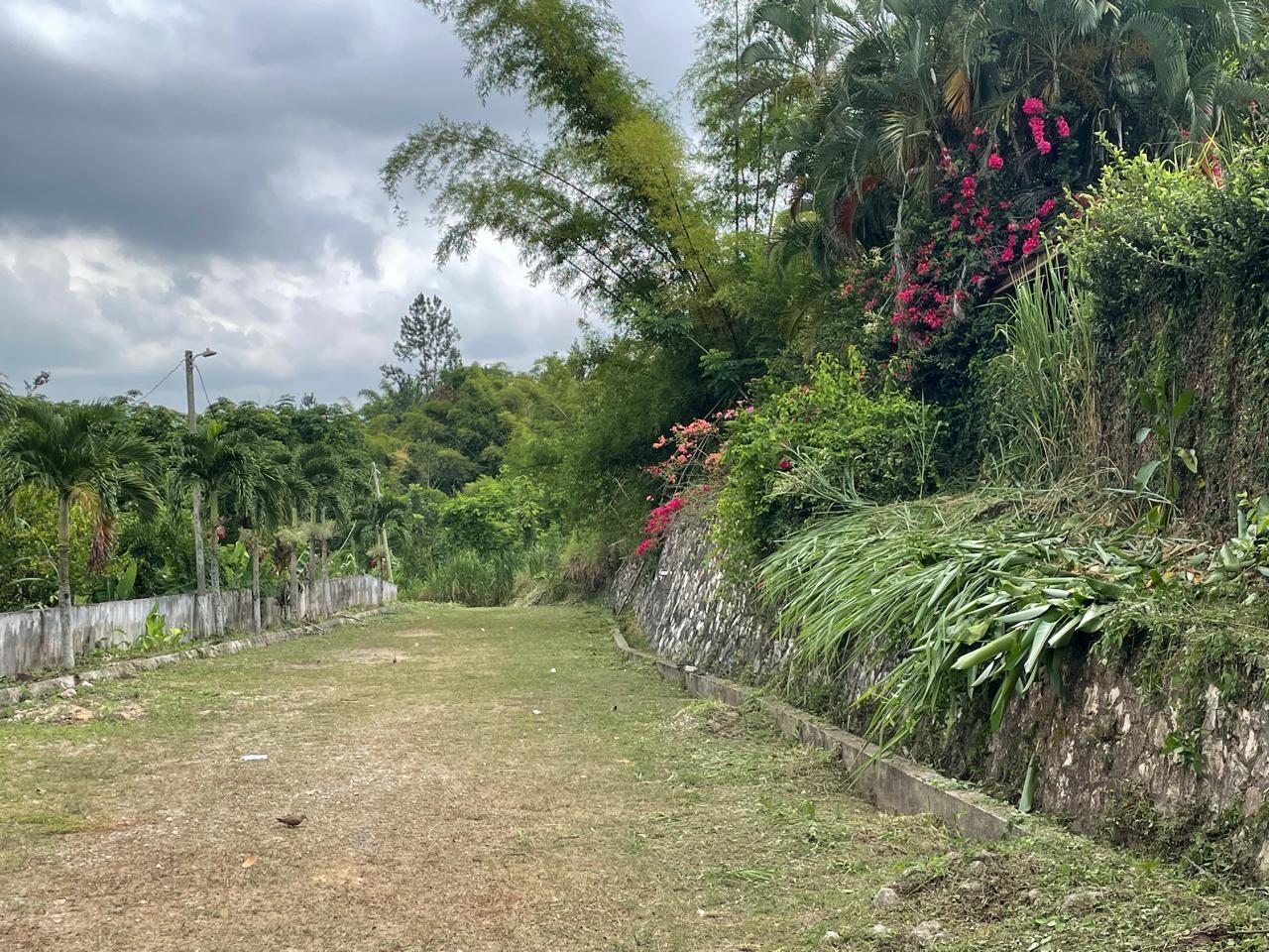 Third image of Boone Hall Stony Hill in Kingston 9, St. Andrew, Jamaica - property is For Sale