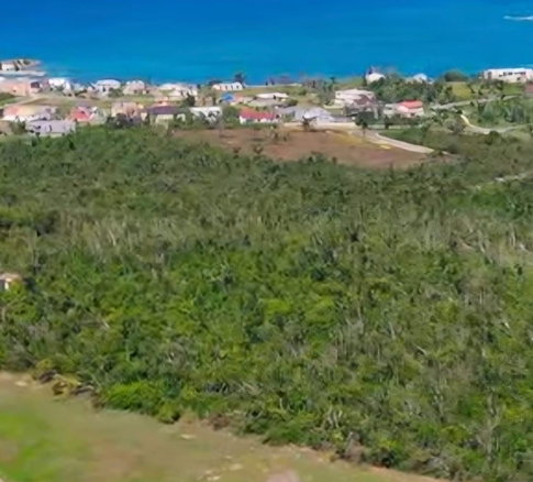 First image of Bruces, Whitehouse in WHITEHOUSE, Westmoreland, Jamaica - property is For Sale