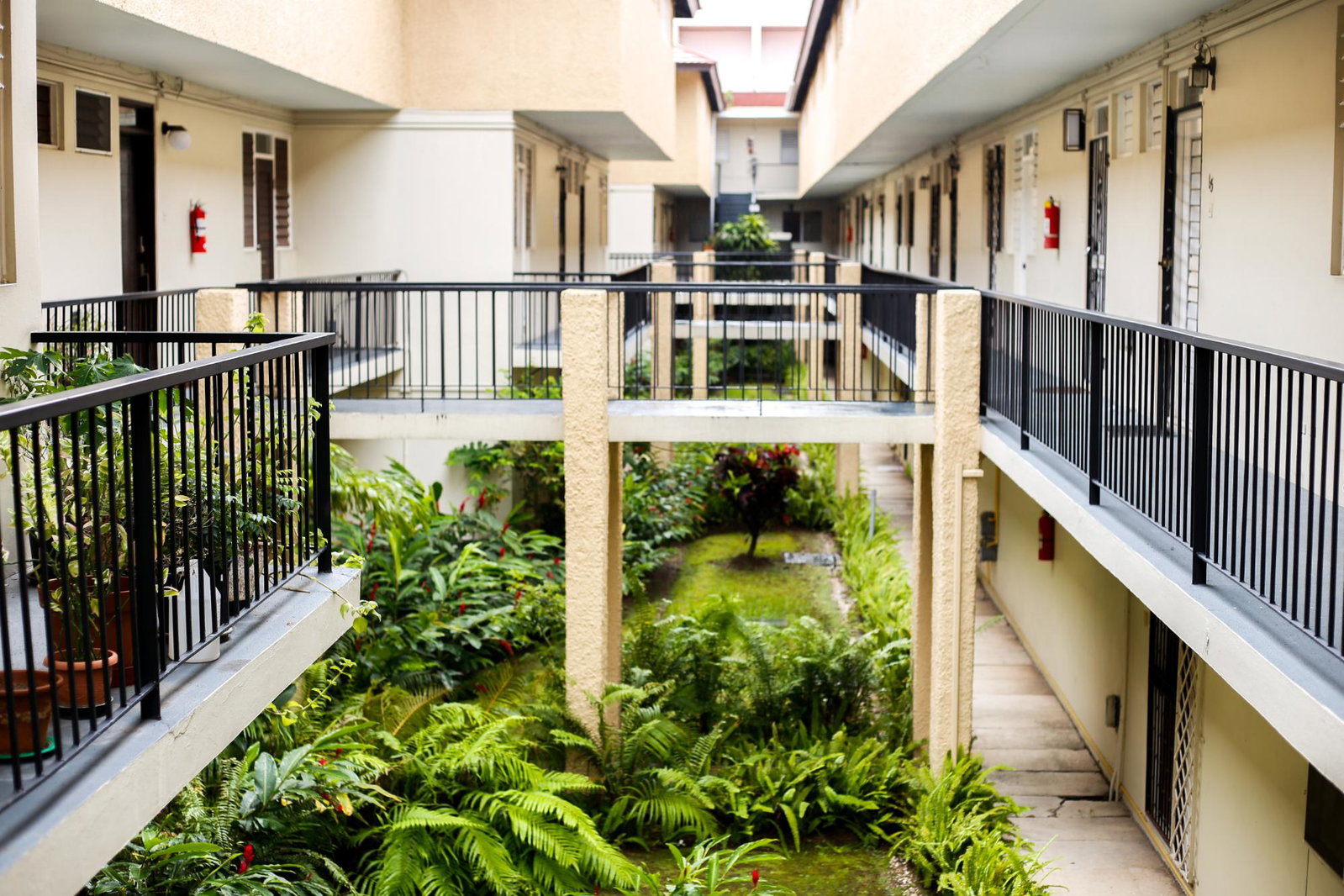 Fourteenth image of 60 Hope Road in Kingston 6, St. Andrew, Jamaica - property is For Sale