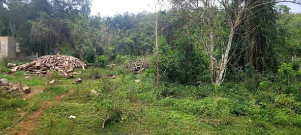 Tenth image of Land Part of Phantillands in Goshen, St. Elizabeth, Jamaica - property is For Sale