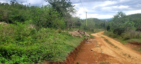 Third image of Land Part of Phantillands in Goshen, St. Elizabeth, Jamaica - property is For Sale