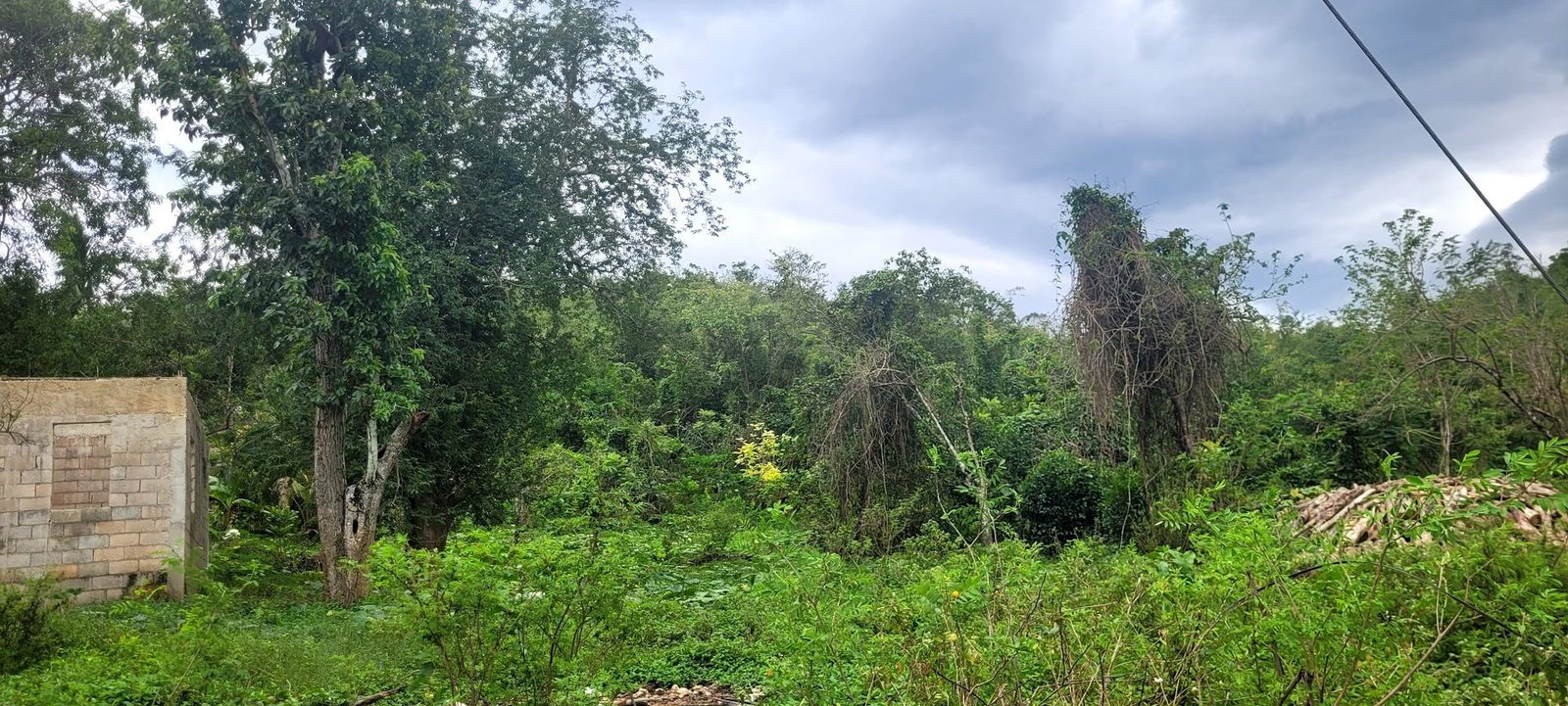Fifth image of Land Part of Phantillands in Goshen, St. Elizabeth, Jamaica - property is For Sale