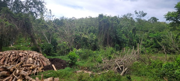 Sixth image of Land Part of Phantillands in Goshen, St. Elizabeth, Jamaica - property is For Sale