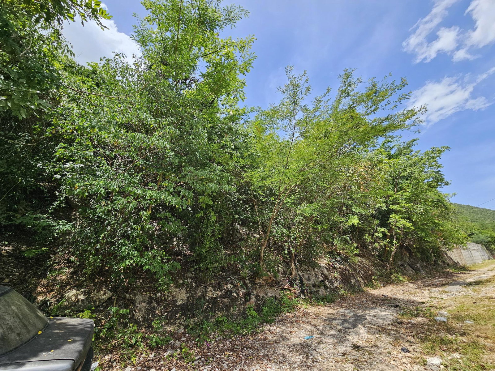 Eighth image of Lot 188 Michael Terrace, Red Hill in Red Hills, St. Andrew, Jamaica - property is For Sale