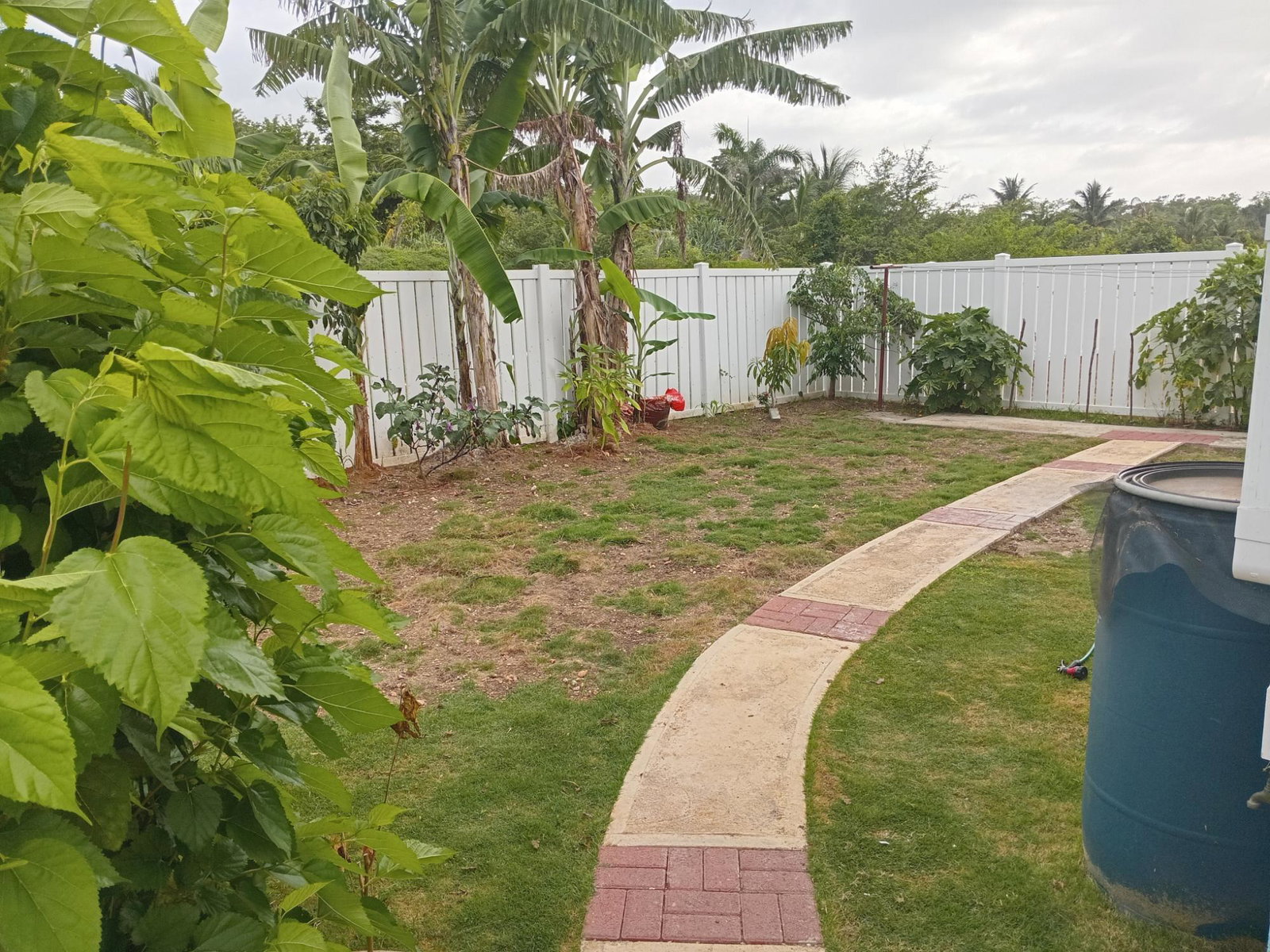 Tenth image of 279-279 Lucea , Hanover in Lucea, Hanover, Jamaica - property is For Rent