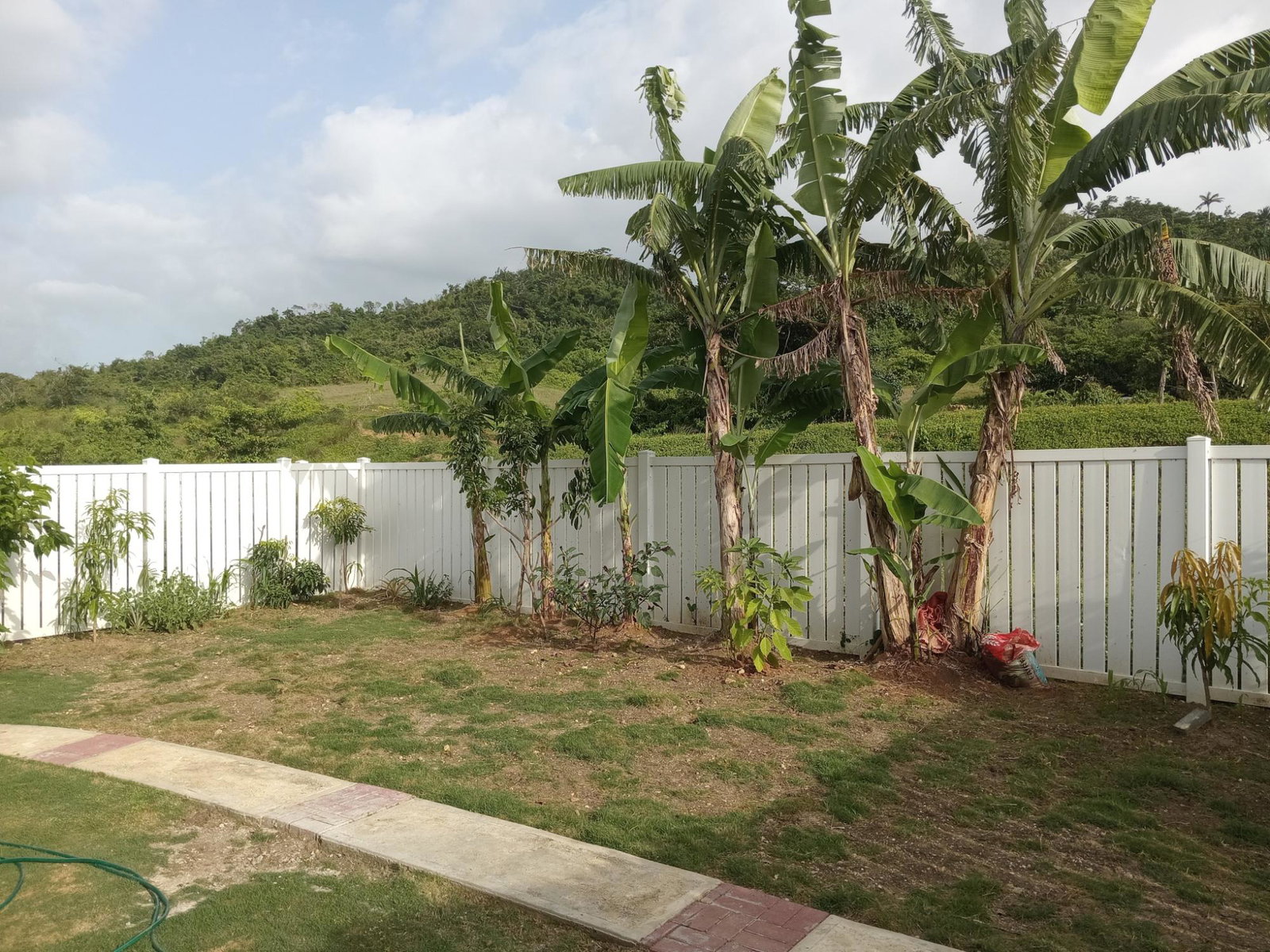 Twelfth image of 279-279 Lucea , Hanover in Lucea, Hanover, Jamaica - property is For Rent