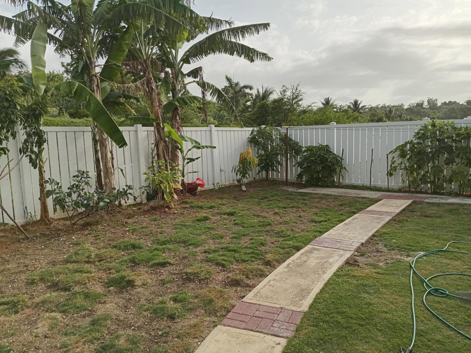 Thirteenth image of 279-279 Lucea , Hanover in Lucea, Hanover, Jamaica - property is For Rent