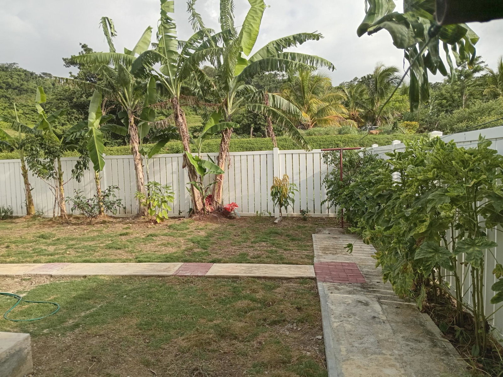 Fourteenth image of 279-279 Lucea , Hanover in Lucea, Hanover, Jamaica - property is For Rent