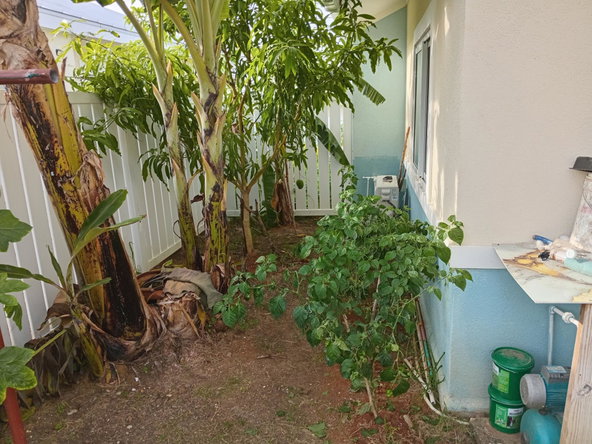 Seventeenth image of 279-279 Lucea , Hanover in Lucea, Hanover, Jamaica - property is For Rent