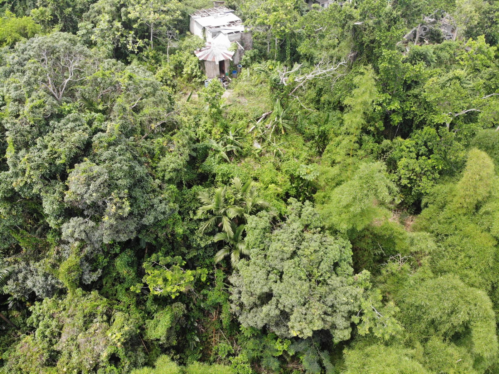 First image of Mount Salus Road in Red Hills, St. Andrew, Jamaica - property is For Sale