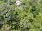 First image of Mount Salus Road in Red Hills, St. Andrew, Jamaica - property is For Sale