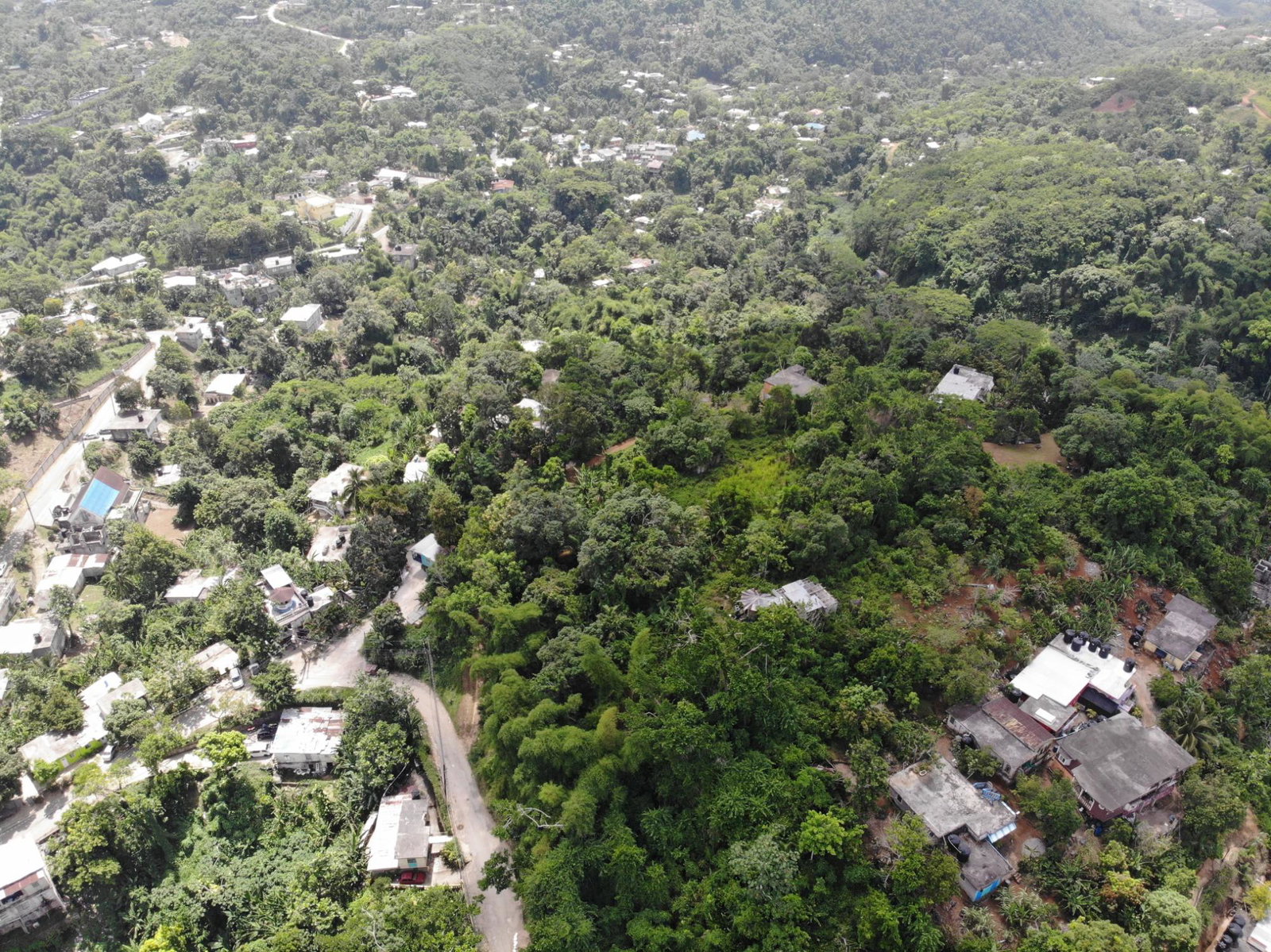 Tenth image of Mount Salus Road in Red Hills, St. Andrew, Jamaica - property is For Sale