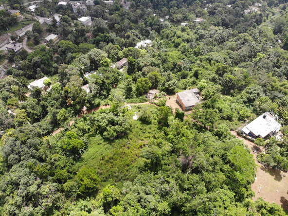 Third image of Mount Salus Road in Red Hills, St. Andrew, Jamaica - property is For Sale