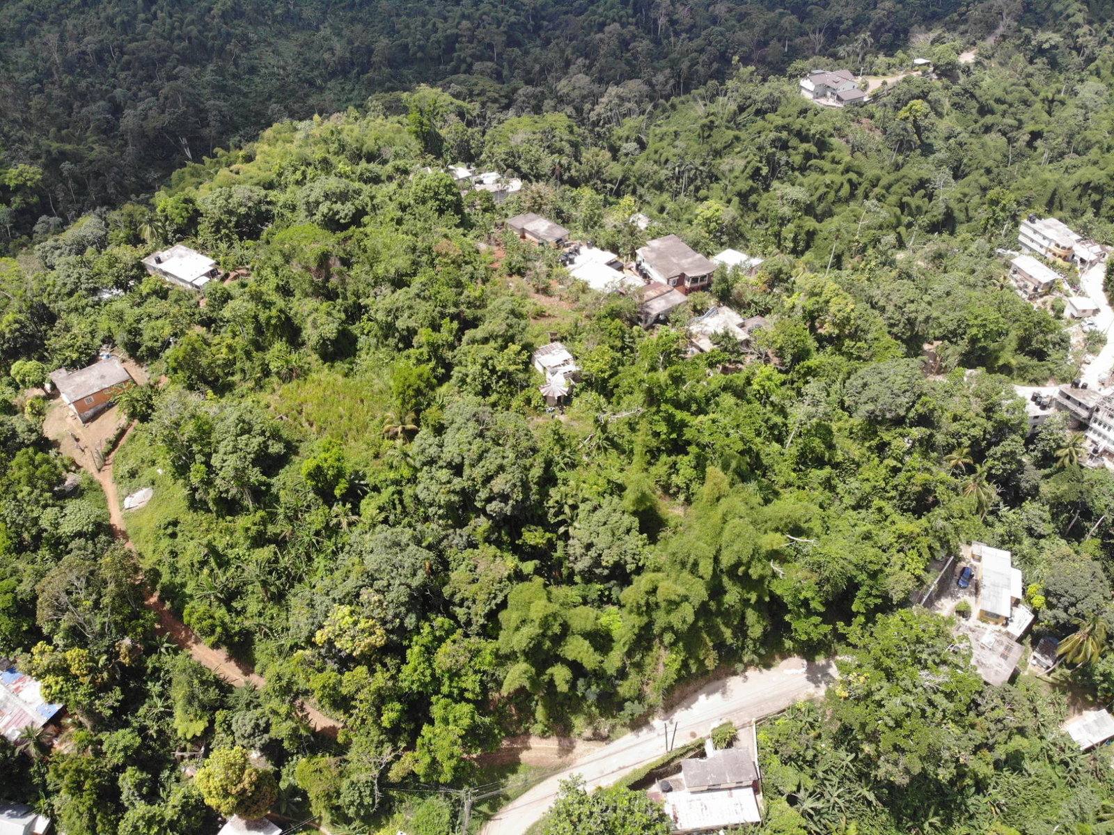 Seventh image of Mount Salus Road in Red Hills, St. Andrew, Jamaica - property is For Sale