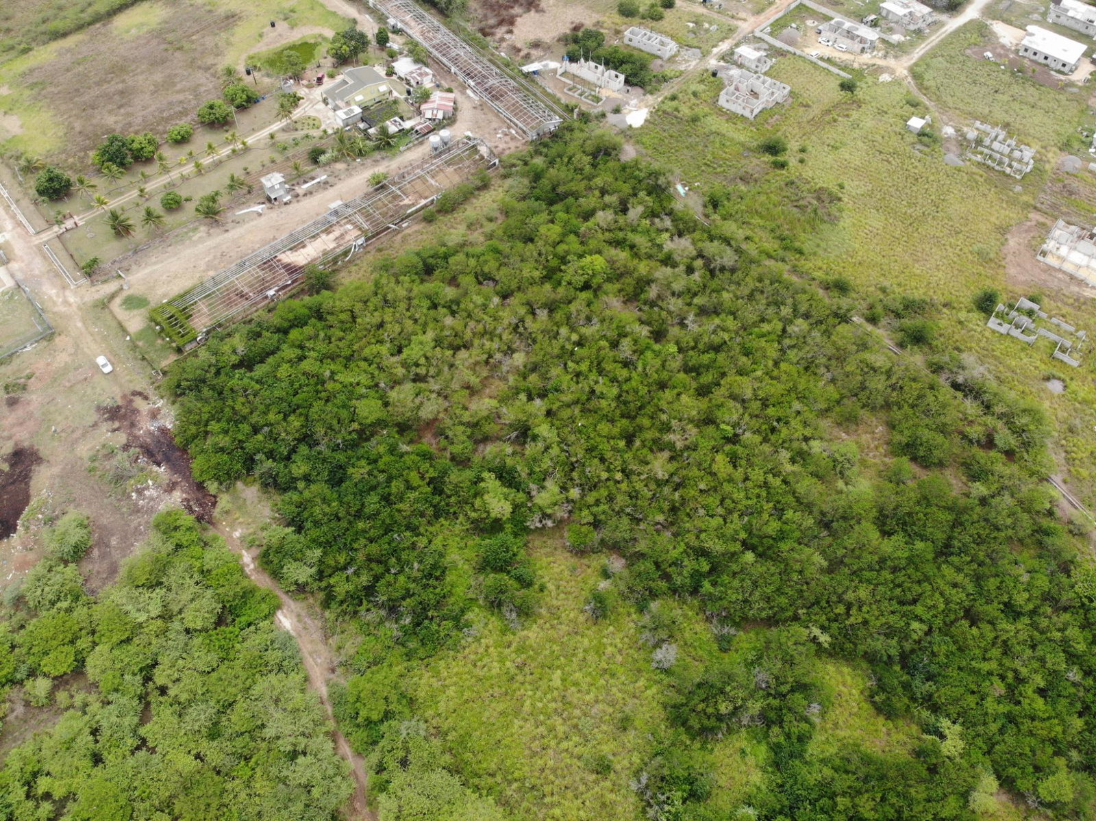Fourth image of Farm in May Pen, Clarendon, Jamaica - property is For Sale