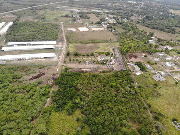 Fifth image of Farm in May Pen, Clarendon, Jamaica - property is For Sale