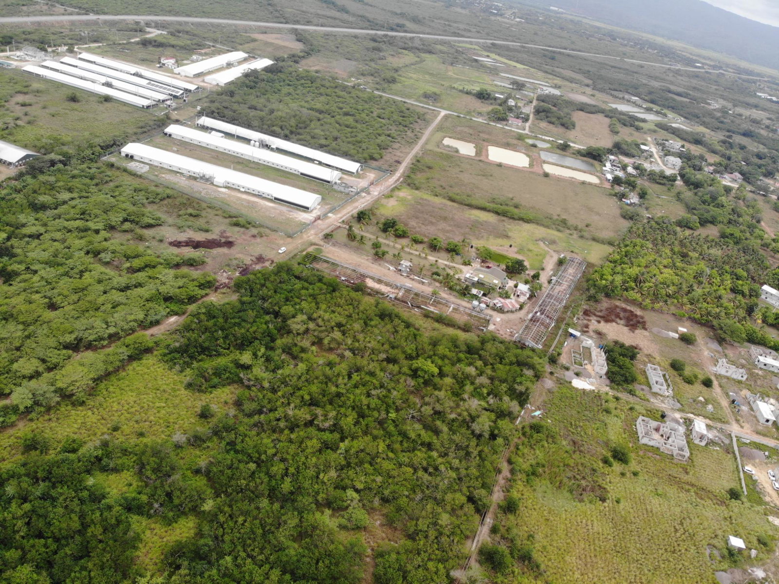 Sixth image of Farm in May Pen, Clarendon, Jamaica - property is For Sale