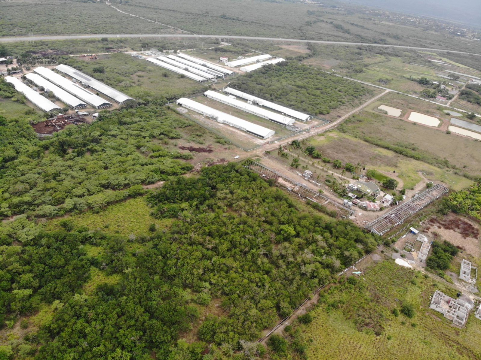 Seventh image of Farm in May Pen, Clarendon, Jamaica - property is For Sale