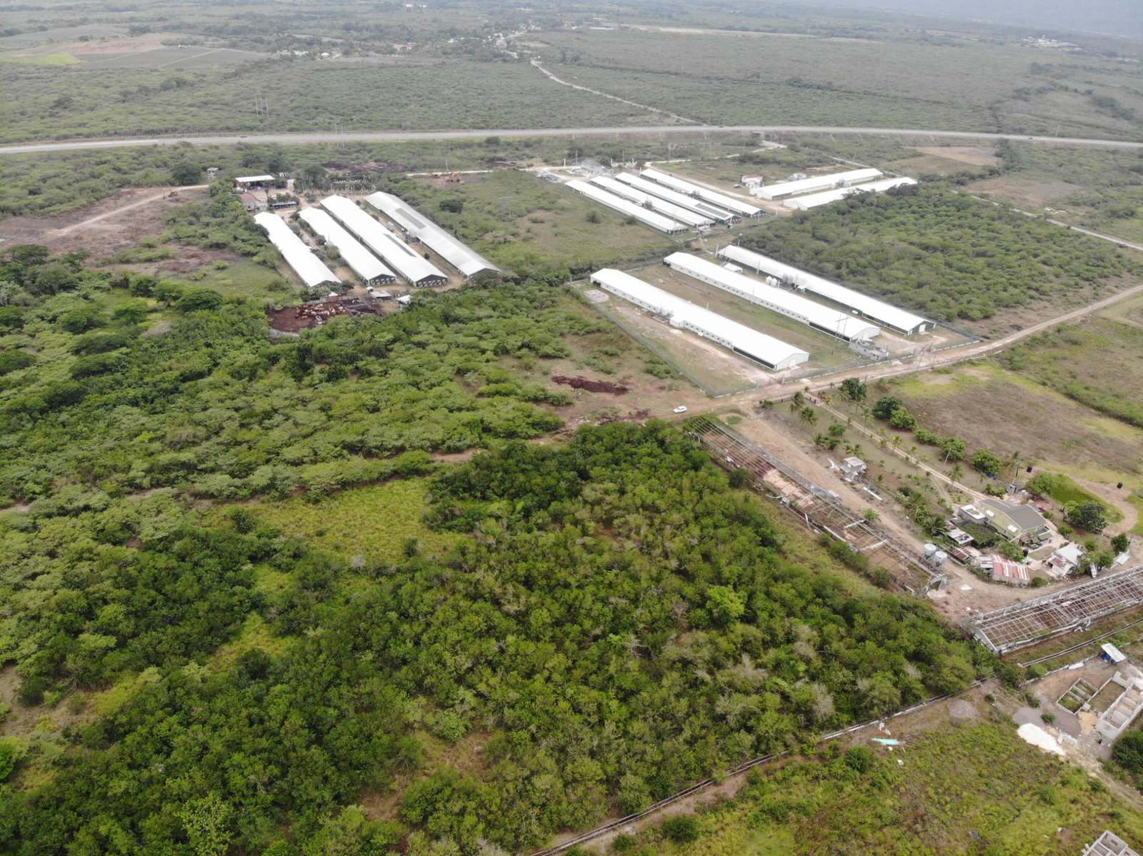 Eighth image of Farm in May Pen, Clarendon, Jamaica - property is For Sale