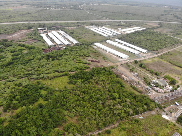 Eighth image of Farm in May Pen, Clarendon, Jamaica - property is For Sale