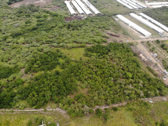 Ninth image of Farm in May Pen, Clarendon, Jamaica - property is For Sale