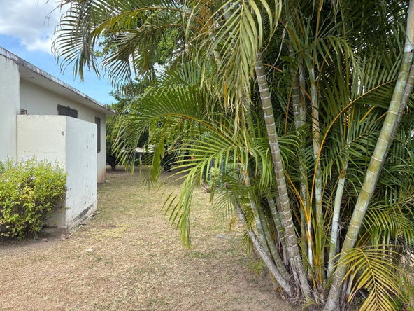 Fourth image of 19 Lily Way in Kingston 6, St. Andrew, Jamaica - property is For Sale
