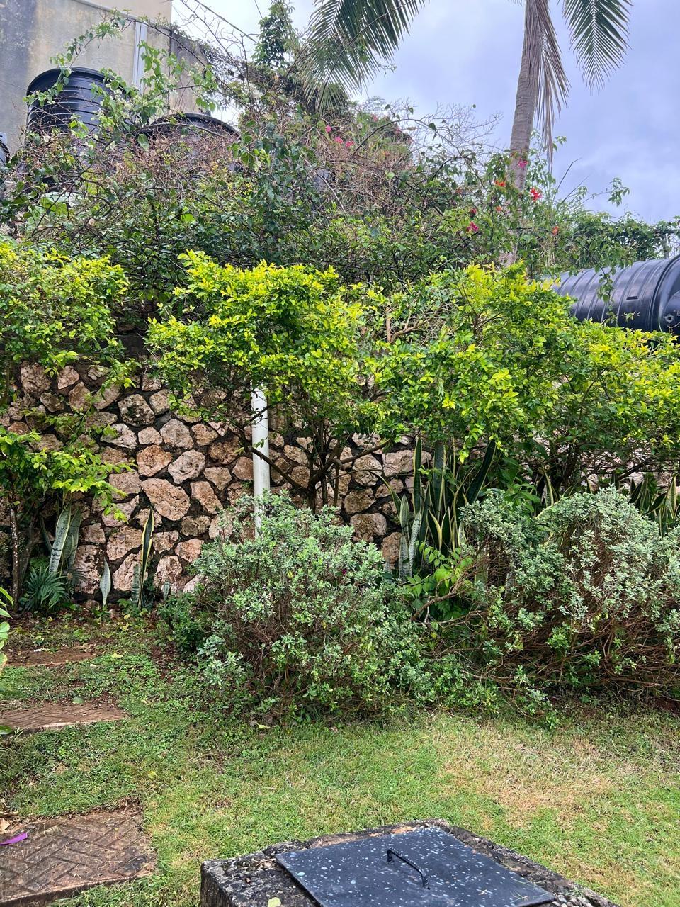 Tenth image of 7 Powell Close in Red Hills, St. Andrew, Jamaica - property is For Sale