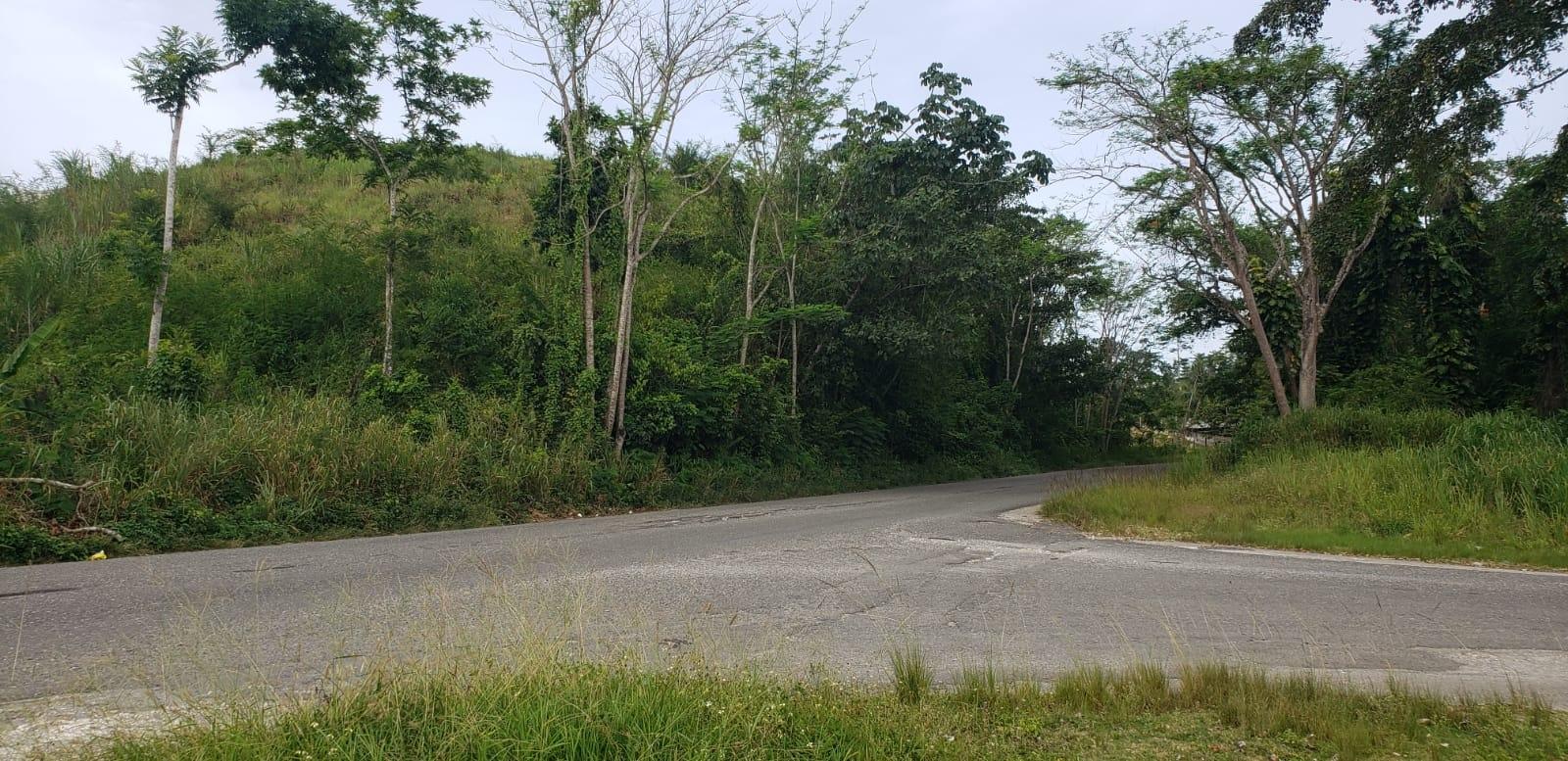 Second image of Phoenix Park, Moneague in Moneague, St. Ann, Jamaica - property is For Sale