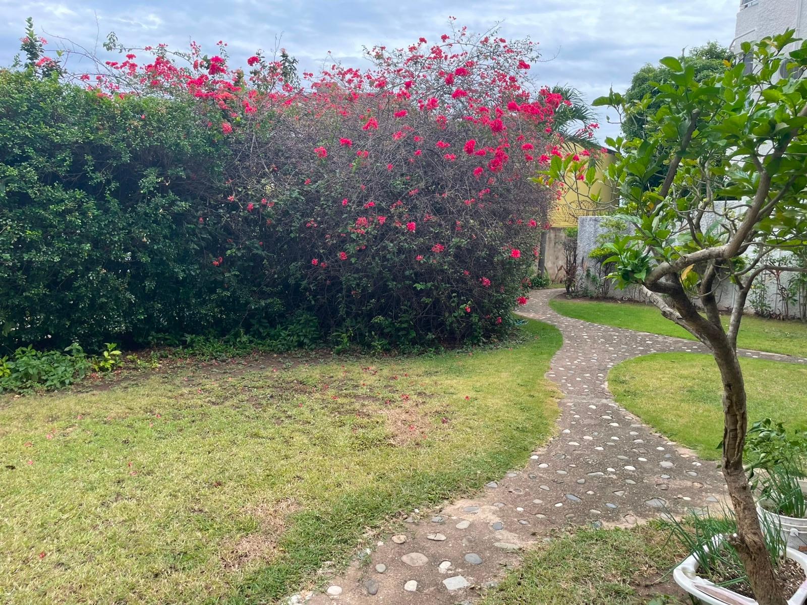 Third image of Apt#7-4 Rekadom Kingston 10 in Kingston 10, St. Andrew, Jamaica - property is For Sale