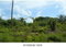 First image of Denbeigh Clarendon in Denbigh, Clarendon, Jamaica - property is For Sale