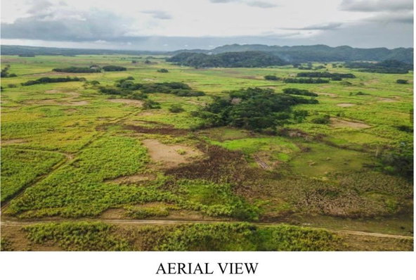 Third image of Denbeigh Clarendon in Denbigh, Clarendon, Jamaica - property is For Sale