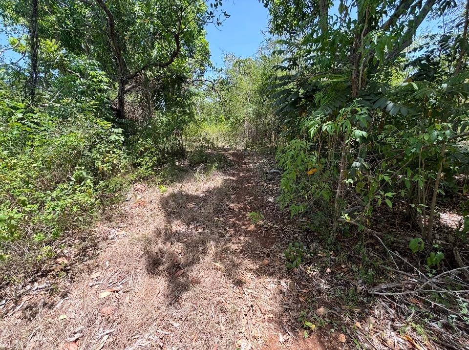 Sixth image of Denbeigh Clarendon in Denbigh, Clarendon, Jamaica - property is For Sale
