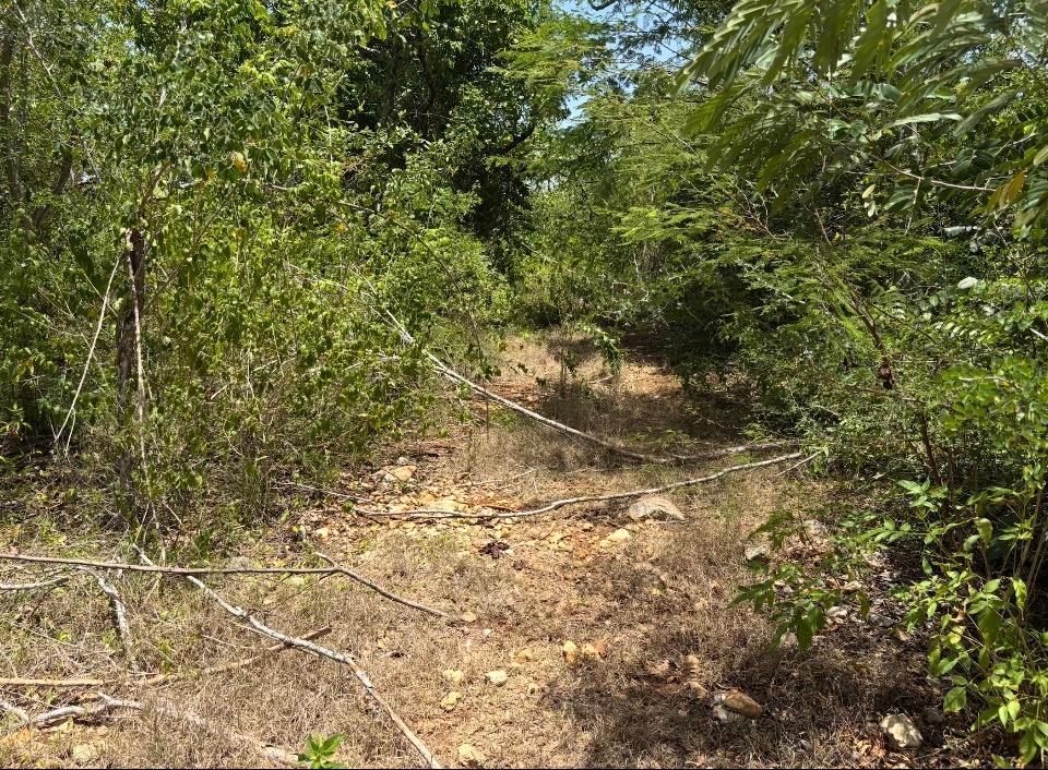 Seventh image of Denbeigh Clarendon in Denbigh, Clarendon, Jamaica - property is For Sale