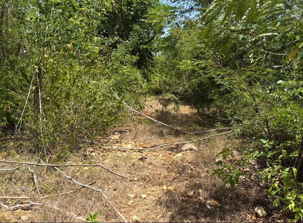 Seventh image of Denbeigh Clarendon in Denbigh, Clarendon, Jamaica - property is For Sale