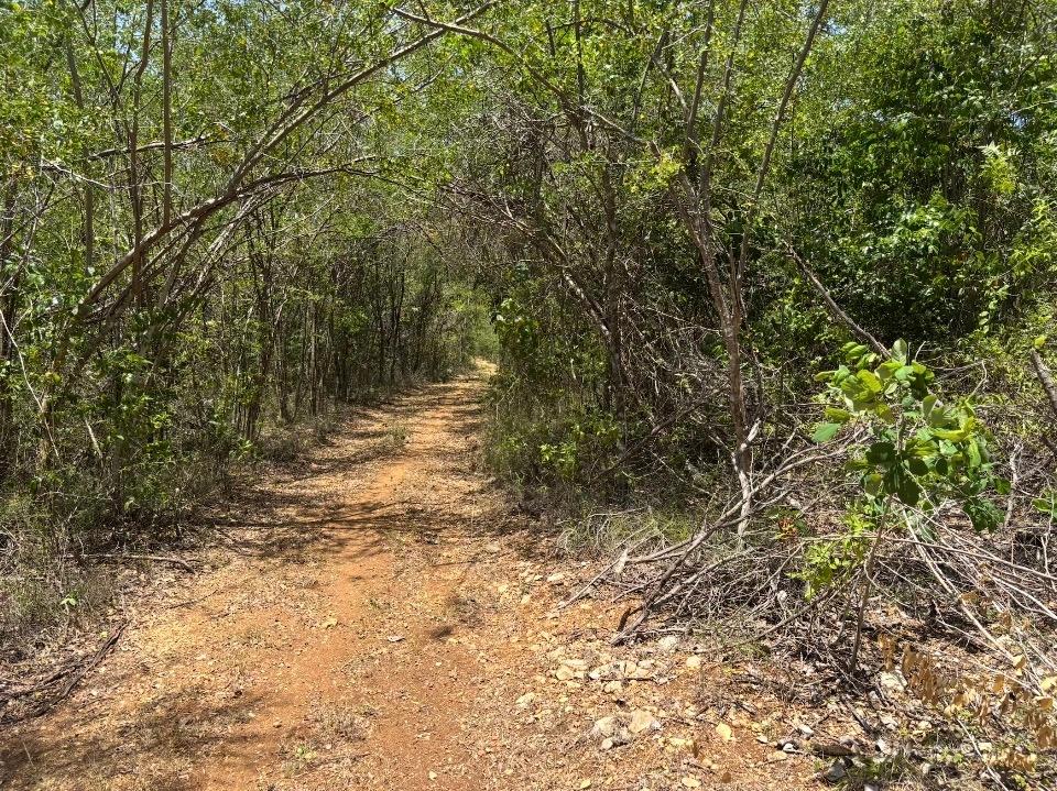 Eighth image of Denbeigh Clarendon in Denbigh, Clarendon, Jamaica - property is For Sale