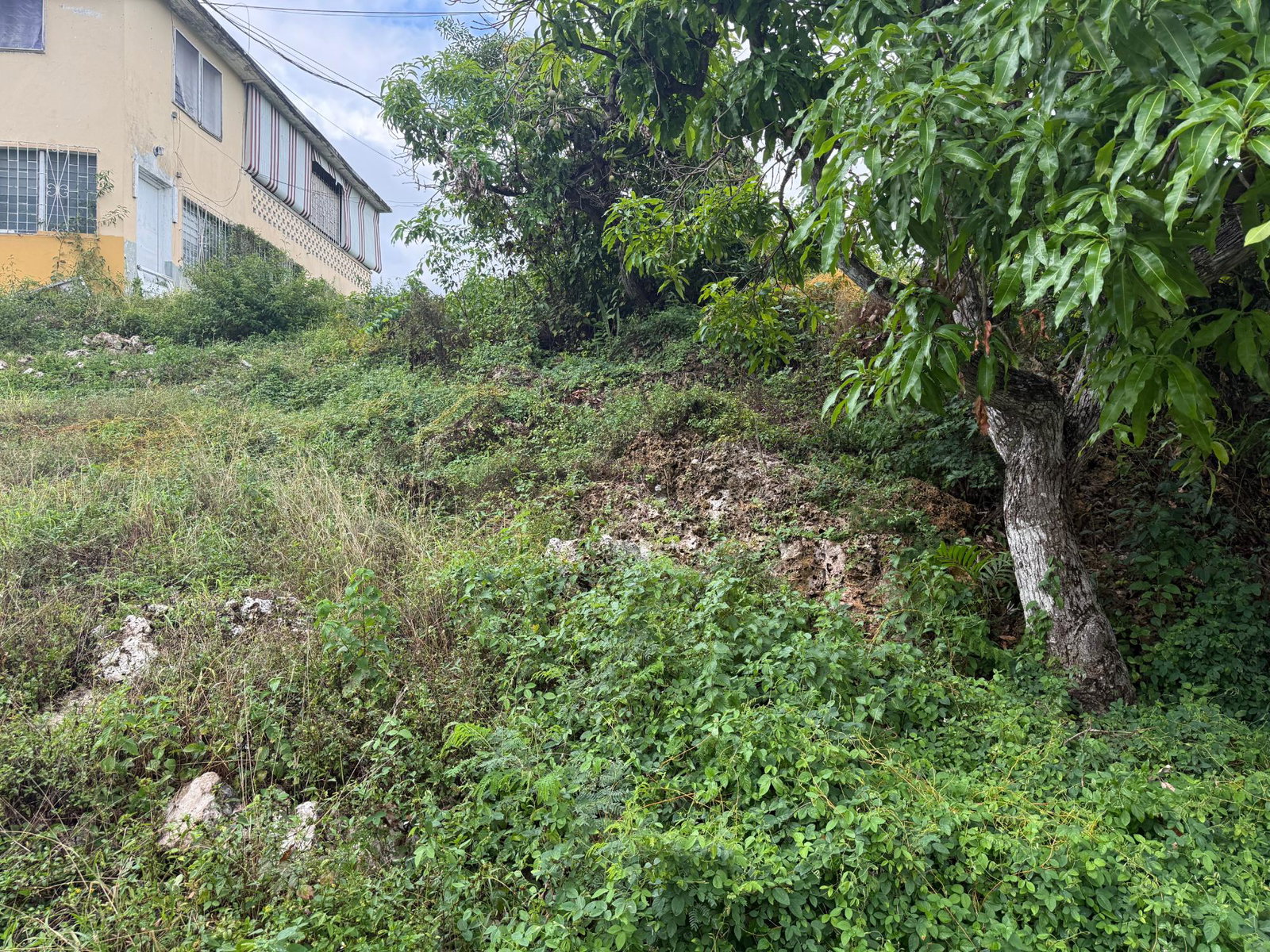Fourth image of 2 Davis Avenue in Montego Bay, St. James, Jamaica - property is For Sale