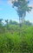 First image of 5c Spring Garden, Buff Bay p in Buff Bay, Portland, Jamaica - property is For Sale