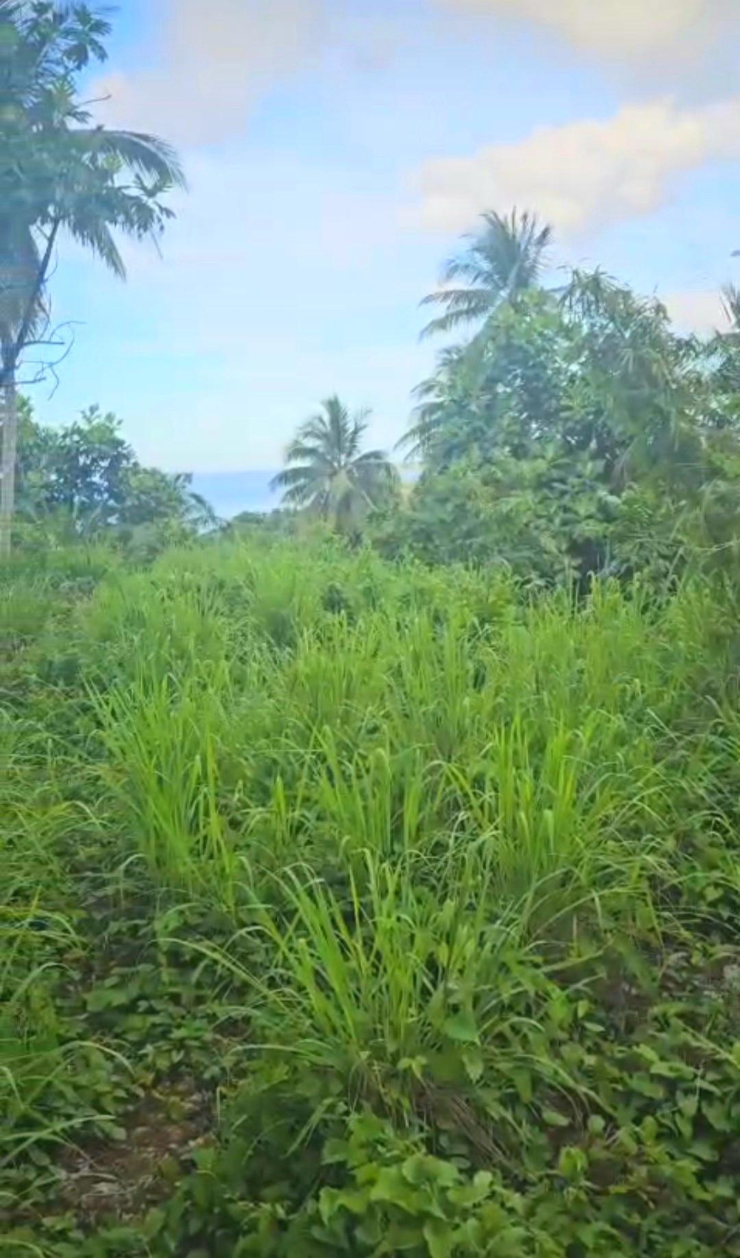 Second image of 5c Spring Garden, Buff Bay p in Buff Bay, Portland, Jamaica - property is For Sale