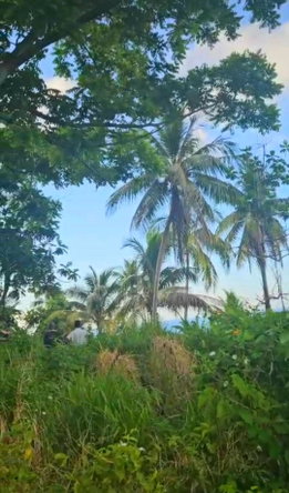 Sixth image of 5c Spring Garden, Buff Bay p in Buff Bay, Portland, Jamaica - property is For Sale