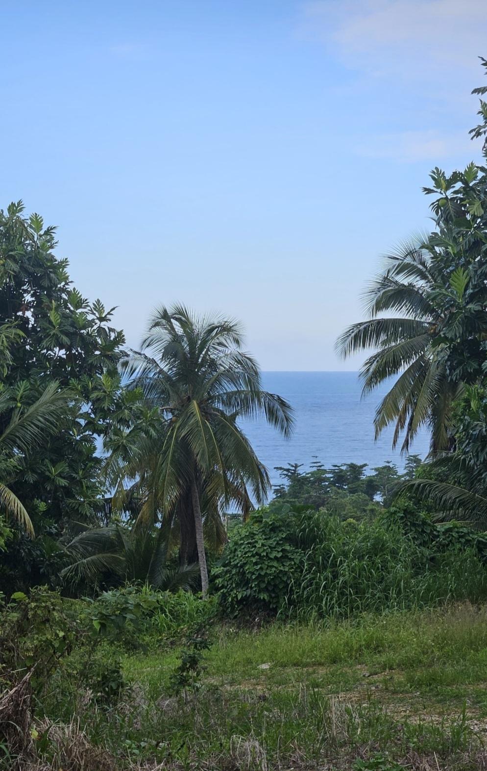 Eighth image of 5c Spring Garden, Buff Bay p in Buff Bay, Portland, Jamaica - property is For Sale