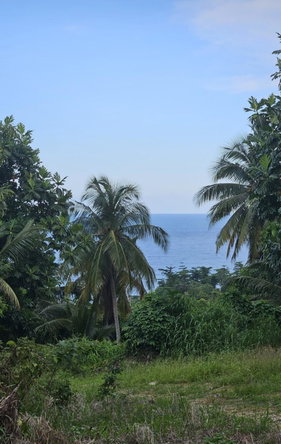 Eighth image of 5c Spring Garden, Buff Bay p in Buff Bay, Portland, Jamaica - property is For Sale