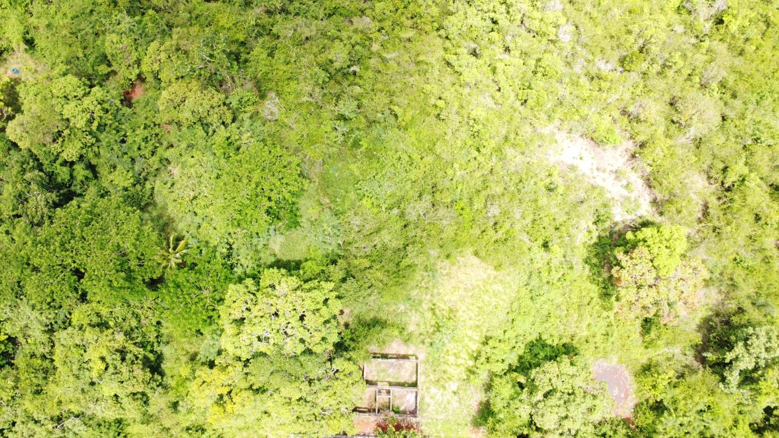 Twelfth image of Emlie, Kitson Town in KITSON TOWN, St. Catherine, Jamaica - property is For Sale