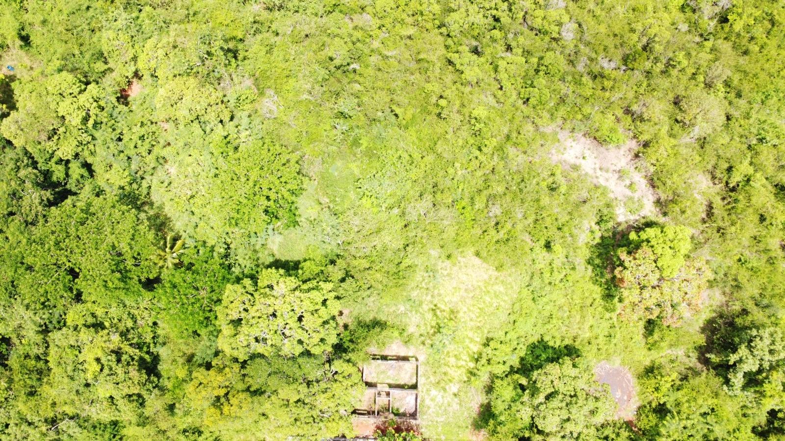 Fourteenth image of Emlie, Kitson Town in KITSON TOWN, St. Catherine, Jamaica - property is For Sale