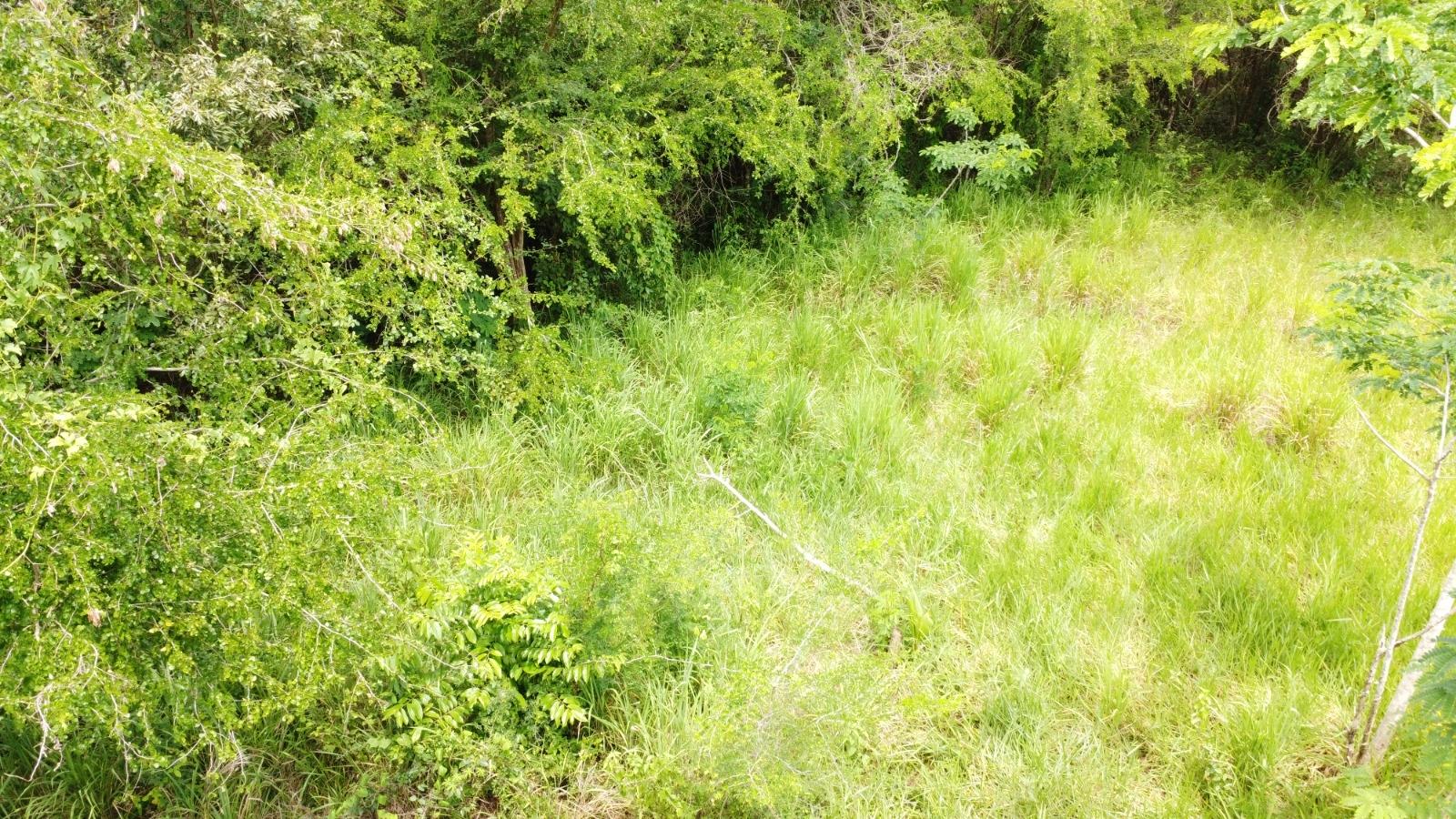 Fifteenth image of Emlie, Kitson Town in KITSON TOWN, St. Catherine, Jamaica - property is For Sale
