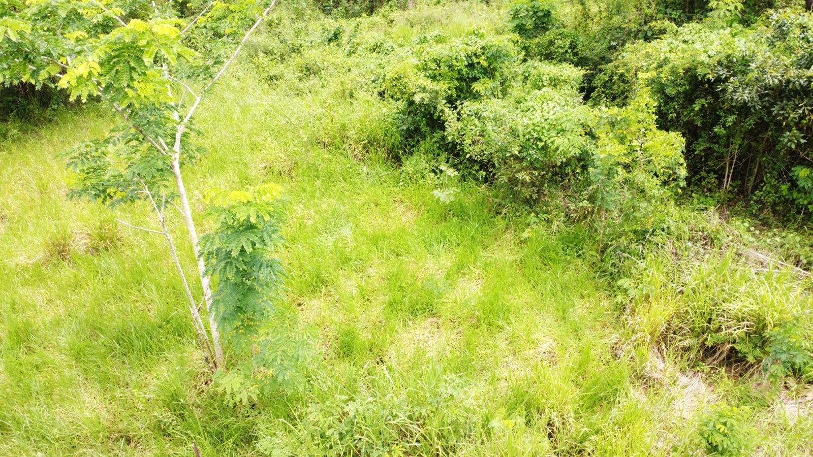 Sixteenth image of Emlie, Kitson Town in KITSON TOWN, St. Catherine, Jamaica - property is For Sale